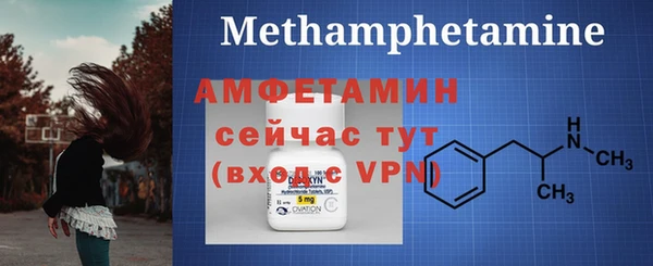 хмурый Пересвет