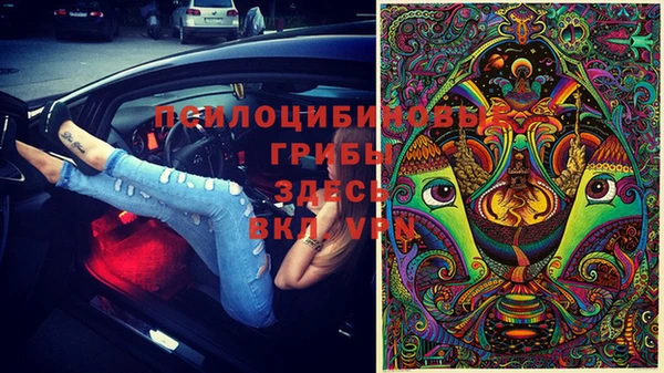 Альфа ПВП Армянск