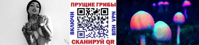 Галлюциногенные грибы мухоморы  Балтийск 